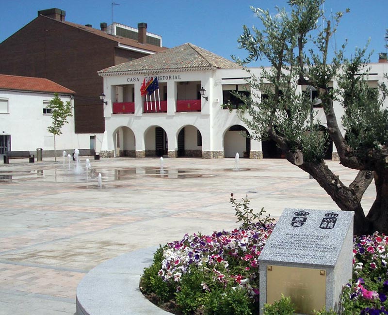 Pocería y desatrancos en Torrejón de la Calzada